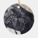 Suche nach pekinese Haustiere