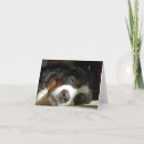 Recherche de bmd vœux cartes Dog