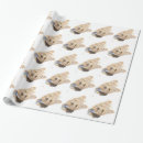 Recherche de petit chien papier cadeau Dog