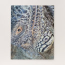 Suche nach leguan puzzle Reptil