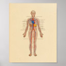 Recherche de cardiologie posters Médical