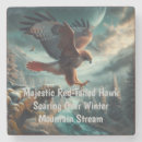 Suche nach falken untersetzer Raptor