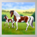 Recherche de poulain de cheval posters Chevaux