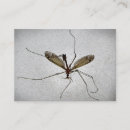 Recherche de mouche cartes visite Insectes