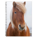 Suche nach isländisches pferd kleine notizbücher Superstock