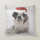 Recherche de chapeau coussins Animal de compagnie