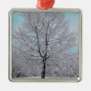 Suche nach eichen ornamente Baum