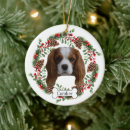 Suche nach charts ornamente Spaniel