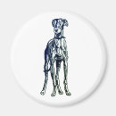 Suche nach windhunde magnete Whippet