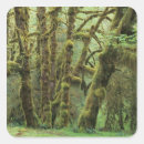 Suche nach pazifischer nordwesten aufkleber Wald