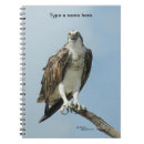 Recherche de faucons carnets Oiseau de proie