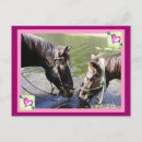 Recherche de amants de cheval cartes postales Valentine
