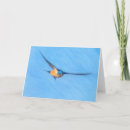 Suche nach falknerei karten Vogelvogel