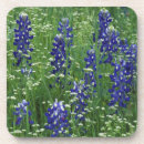 Suche nach bluebonnet untersetzer Natur