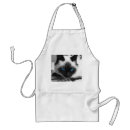 Recherche de siamois tabliers Amoureux des chats