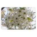 Suche nach früchte magnete Frucht