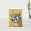 Recherche de kool Chats