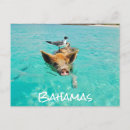 Recherche de bahama cartes postales Vacances à bahamas