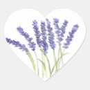 Suche nach lavendel blume aufkleber Blumenreich