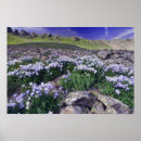 Suche nach für wiese poster Natur