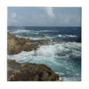Recherche de aruba carreaux Océan