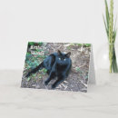 Recherche de chat noir anniversaire cartes Photographie