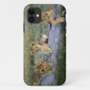 Recherche de panthera iphone coques Lion