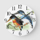 Recherche de le faune horloges Oiseaux