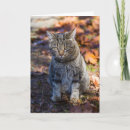 Recherche de funky vœux cartes Photographie