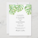 Recherche de monstera invitations Feuillage