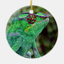 Recherche de lézard vert ornements Faune