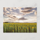 Suche nach queensland poster Blume