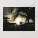 Recherche de le nil cartes postales Coucher de soleil