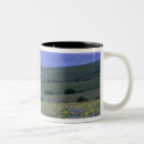 Recherche de dalle tasses Nature