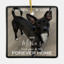 Recherche de chien mignon ornements Minimaliste