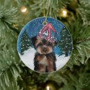 Suche nach poo ornamente Hund