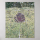 Recherche de allium posters Oignon