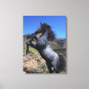 Recherche de cheval bleu toiles Mustang