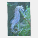 Recherche de hippocampe cuisine linges Océan