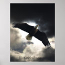 Recherche de d aigle posters Oiseaux