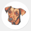 Suche nach pinscher aufkleber Kaninchen