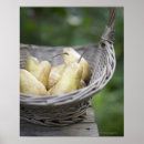 Suche nach frische poster Essen