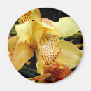 Suche nach exotische orchideen magnete Rosa