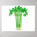 Suche nach fresh poster Lebensmittel
