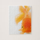 Suche nach goldfisch puzzle Schwimmen