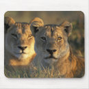 Suche nach entspannt mousepads Wild