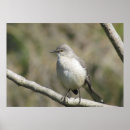 Recherche de perche posters Oeil