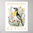 Suche nach western kansas poster Natur