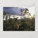 Recherche de conserves cartes postales Tanzanie