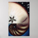 Recherche de fibonacci posters Galaxie